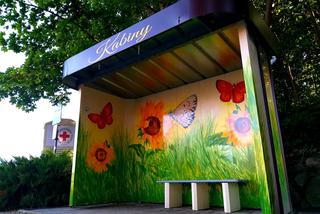 Powstał kolejny artystyczny przystanek autobusowy na Warmii. Jest przepiękny! [ZDJĘCIA]