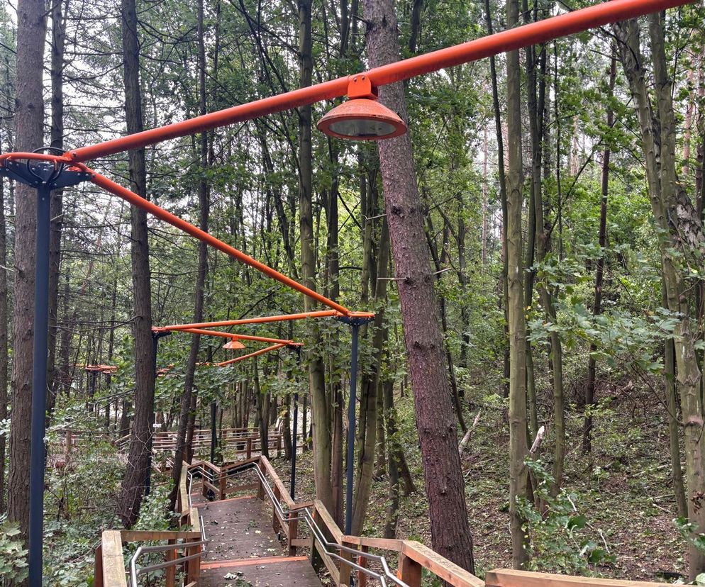 Pomarańczowa konstrukcja oświetlenia w Parku Leśnym na gdyńskim Oksywiu. Widoczne stalowe podpory z zamontowanymi pomarańczowymi lampami, biegnące nad drewnianą ścieżką z poręczami, otoczoną gęstym lasem. O rozwiązaniach architektonicznych przeczytasz na Architektura Murator Plus.