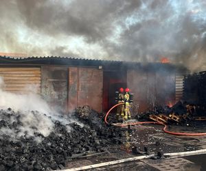 Łódź. Ogromny pożar ciężarówek i składowiska palet. Dramat na ul. Starorudzkiej [ZDJĘCIA].