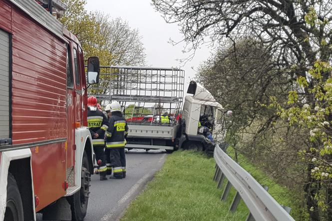 Kolejny tragiczny wypadek w Lubuskim