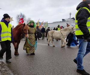 Orszak Trzech Króli w Elblągu