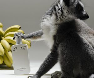 Wiosna pełna wyjątkowych nowości w Mood Scent Bar!