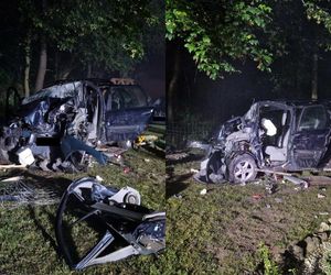 Rabinówka. Pijana 22-latka bez prawa jazdy uderzyła w ogrodzenie i drzewo