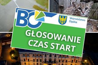 Ruszyło głosowanie w ramach VI edycji Marszałkowskiego Budżetu Obywatelskiego. Wybieramy najciekawsze projekty