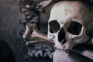 Kolejna ludzka czaszka na rynku w Bochni! Należała do czarownicy?