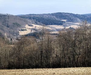 Czy to już koniec zimy w Bieszczadach? 