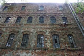 Młyn Zamoyskich w Kołbieli