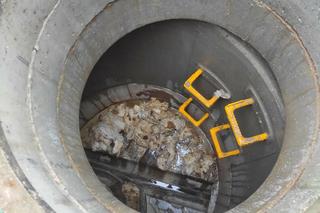 Polacy wrzucają to do toalety, nie wiedzą że mogą tego pożałować. Nawet 150 tysięcy zł