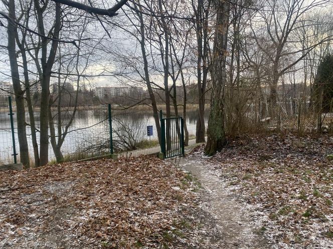 Zima zaatakowała na Warmii i Mazurach. W weekend kolejne opady śniegu!