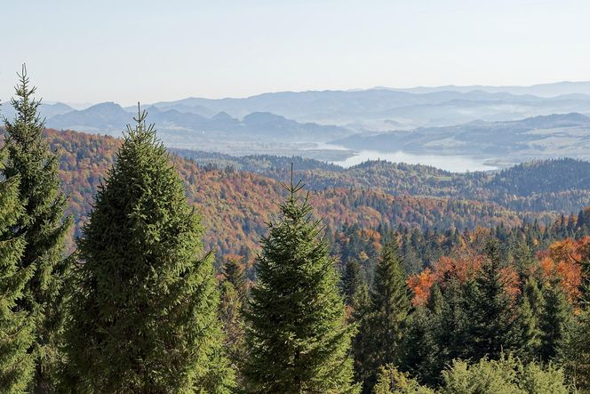 To miejsce w Małopolsce najpiękniej wygląda późną jesienią według AI. Ma status kultowego