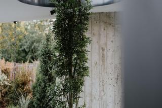 Dom w Rudzie Śląskiej