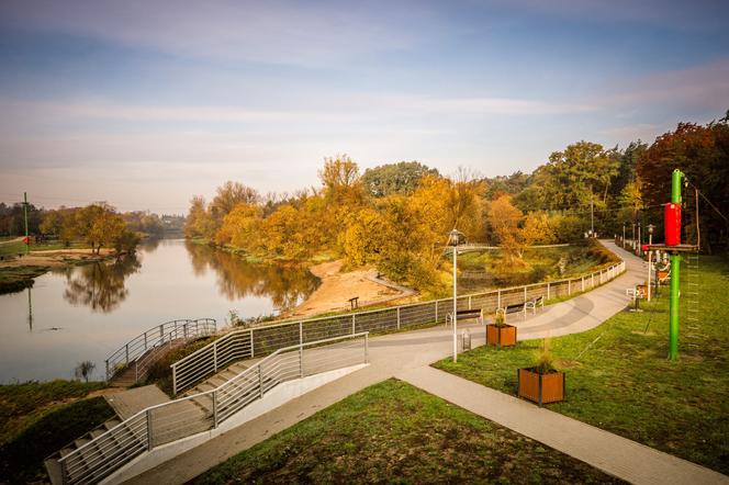 Park Dolina Wkry w Pomiechówku - spacer w koronach drzew, place zabaw, plaża