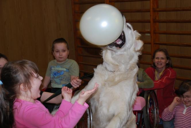 Dogoterapia