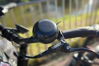 Nasz test rowerów cargo