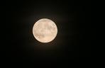 Tak gigantycznego księżyca nie było od dawna! Jego kolor i blask szokuje. 29.09.2023 wystąpi pełnia księżyca w Baranie!