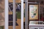 To, co archeolodzy odkryli w lesie, trafi na sejmowe korytarze. Jest wystawa pamiątek z obozowiska partyzantów AK w Borach Tucholskich