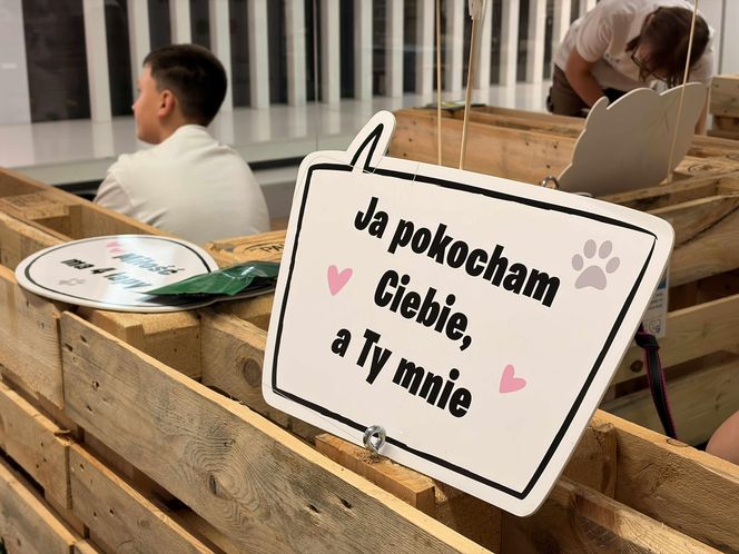 Akcja adopcyjna Fundacji Dobre Ludki w Grudziądzu