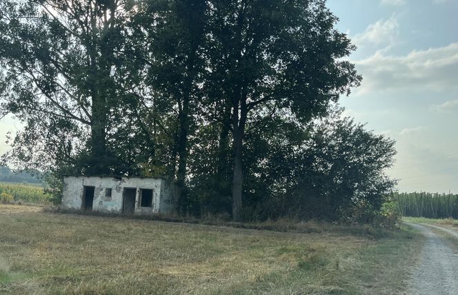 Dramat w Spiczynie. Porwani 44-latka i znęcali się nad nim w potworny sposób