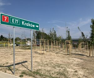 DK7 czy S7 - samorządowcy nie chcą nowej drogi szybkiego ruchu