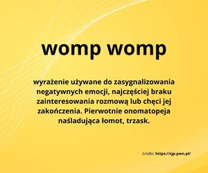 Młodzieżowe Słowo Roku 2024 