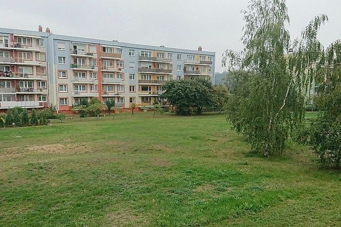 Powierzchnia biologicznie czynna