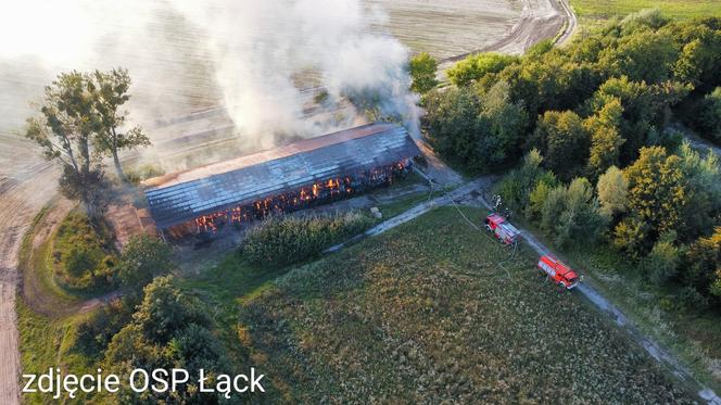 Pożar w Stadzie Ogierów w Łącku pod Płockiem