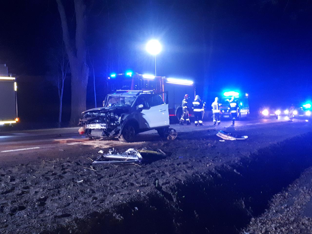 Przejażdżka  anglikiem zakończyła się na przydrożnym drzewie [ZDJĘCIA]