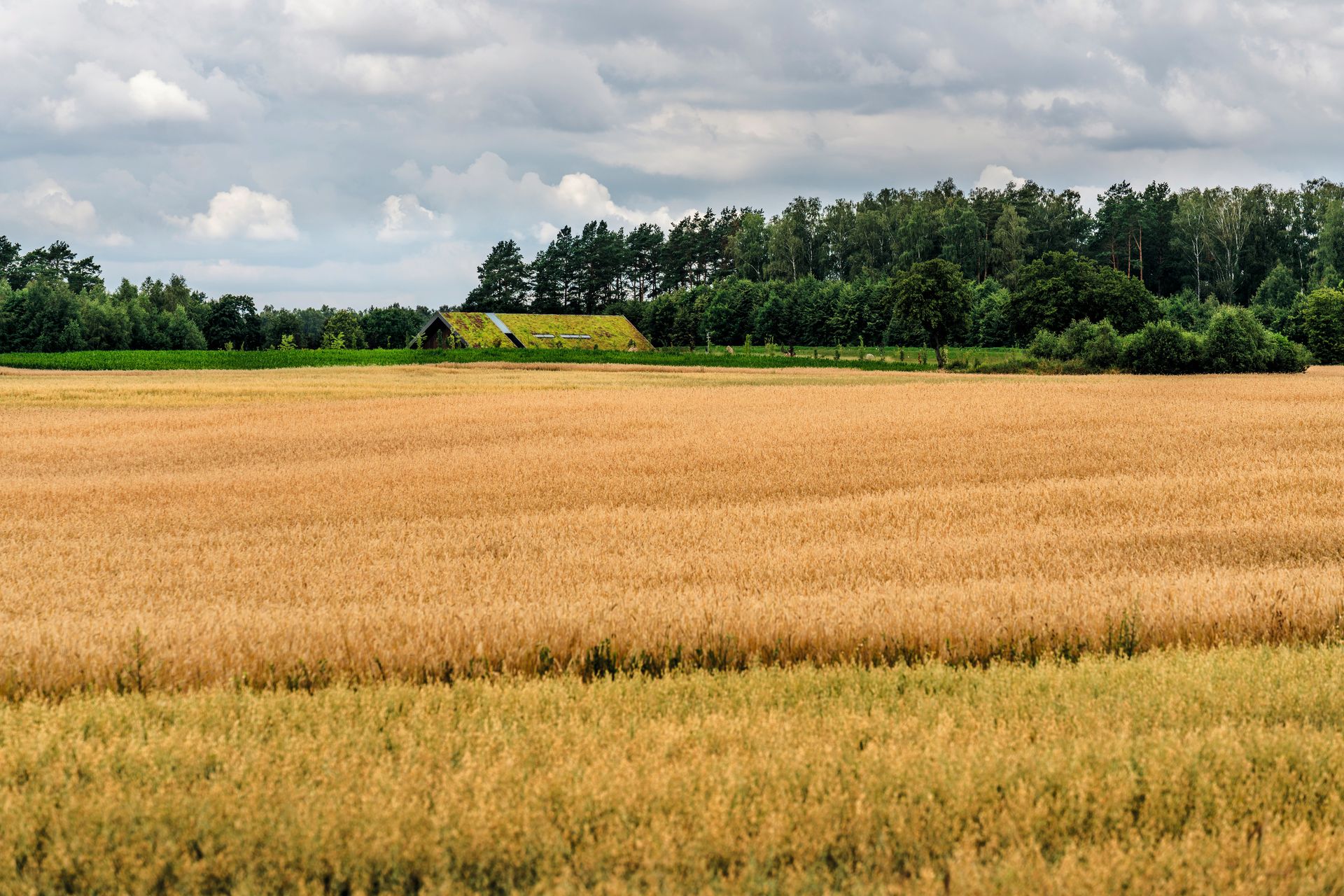Dom jednorodzinny Green Line House 1