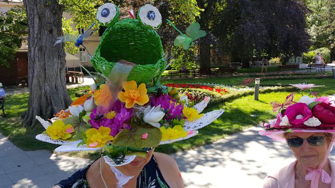 Jedenasty Marsz Kapeluszowy w Bydgoszczy