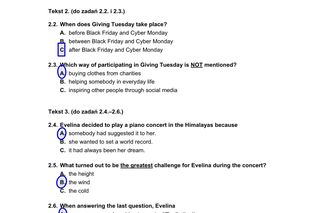 Matura 2025 - angielski