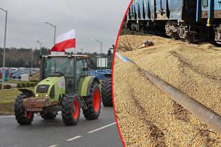 Ta firma zapłaci karę za sprowadzanie zboża z Ukrainy