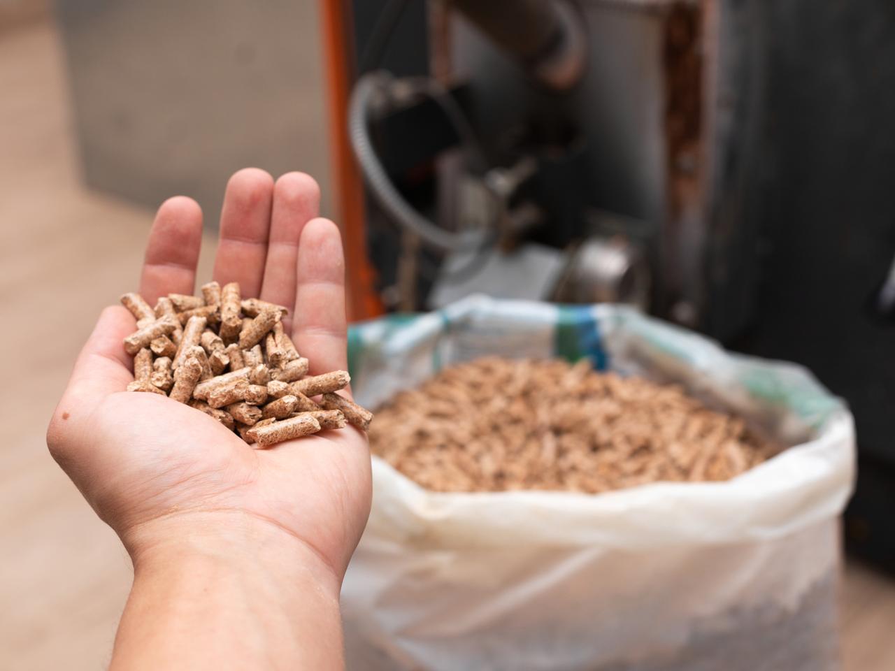 Dopłaty do pelletu 2022 - wniosek od 21 września! Dla kogo dofinansowanie 3000 zł do pelletu drzewnego? 