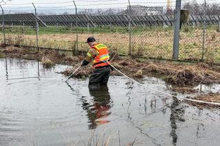 Makabryczne odkrycie w Jadownikach. Z rzeki wyłowiono zwłoki 70-latki