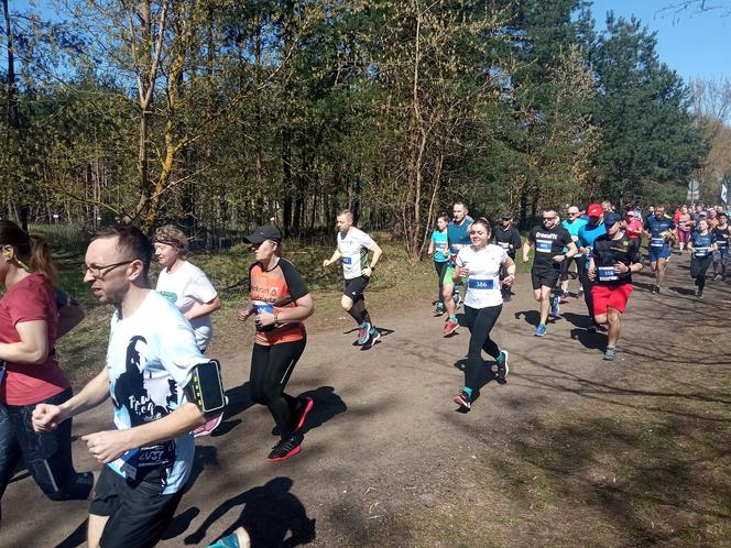 II edycja Bronek Run Forest Edition w Grudziądzu