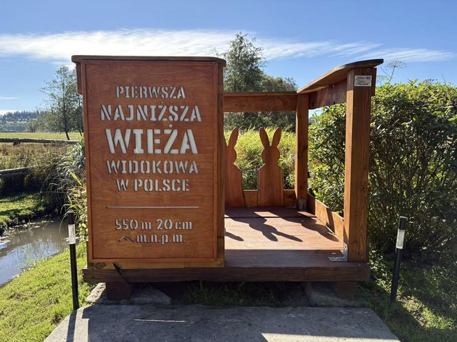 To najniższa wieża widokowa w Polsce. Ma 20 cm wysokości!