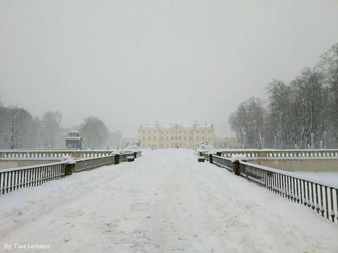 Białystok pokryty śniegiem. Piękne zdjęcia internautki Ewy