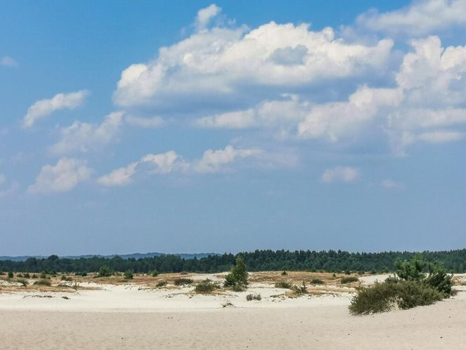 Pustynia Błędowska