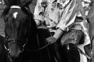 Maryla Rodowicz kupiła konia na pocieszenie