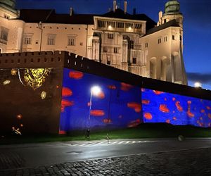 Turystyczny hit w Krakowie? Multimedialny spektakl obejrzysz na murach Wawelu