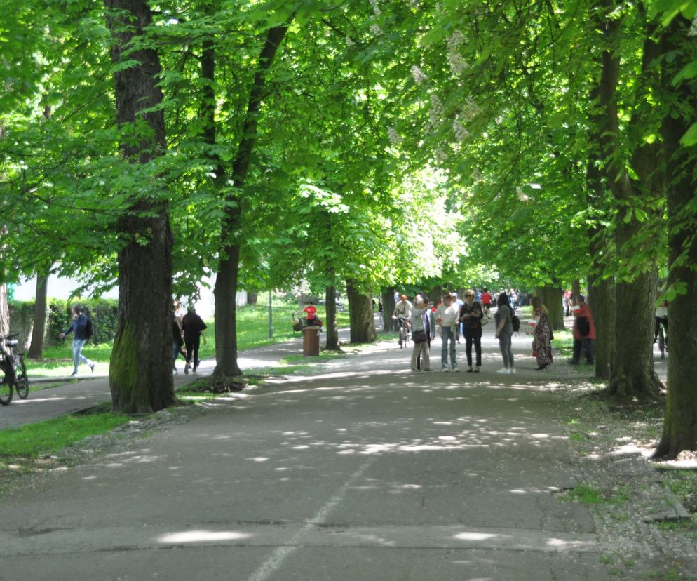 Park Miejski w Kielcach. Wiosna 2025