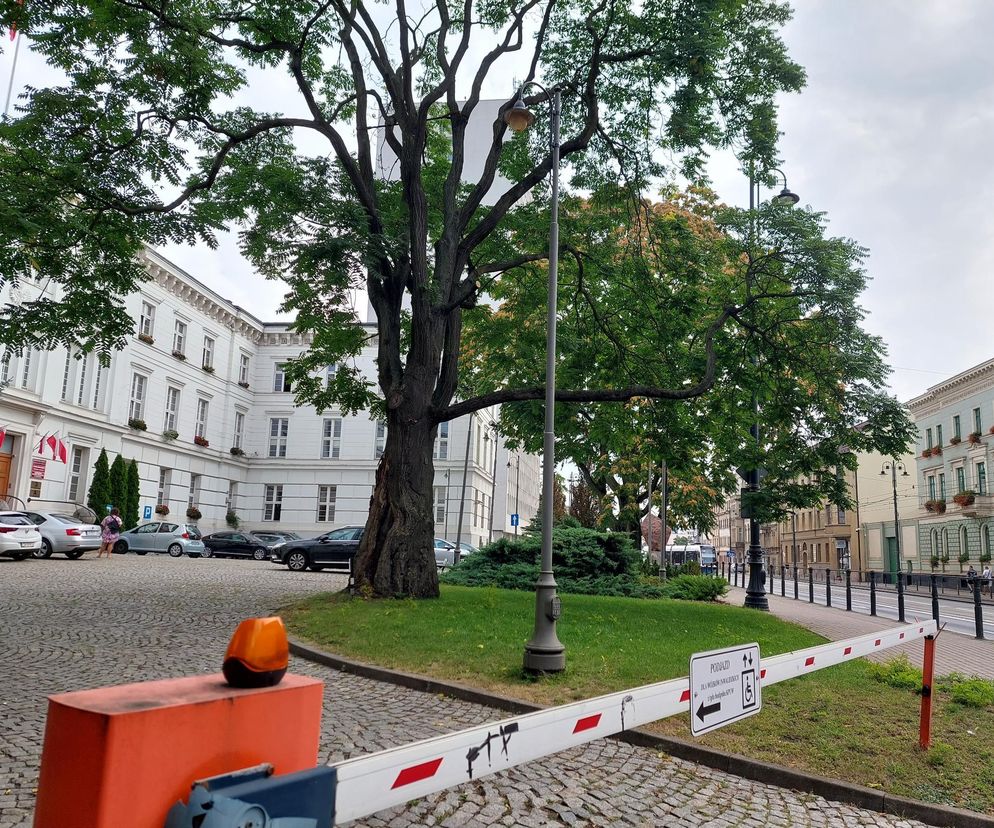 Wojewoda kujawsko-pomorski o nalocie rosyjskich dronów na Polskę: To sytuacja bez precedensu