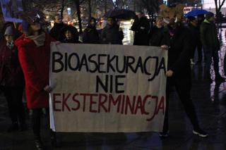 Szczecinianie protestowali przeciwko odstrzałowi dzików