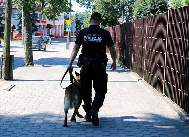 Szkolenie psów policyjnych w Bielsku Podlaskim. Zobacz, jak przebiega