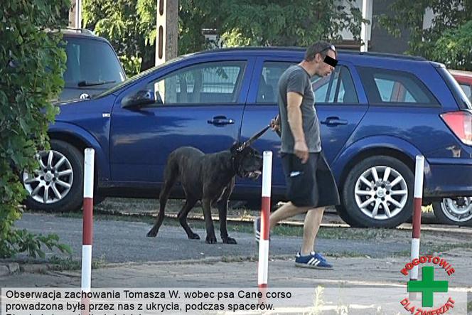 Narkoman z Bydgoszczy katował swojego psa! Jest podejrzany także o zoofilie!