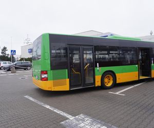 Katarzynki 2024 - wystawa autobusów przy Galerii Panorama