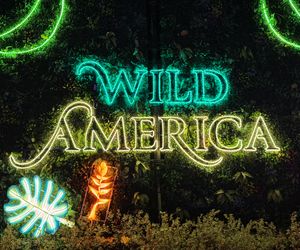 Garden of Lights we Wrocławiu