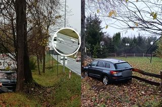 Chwile grozy na drodze krajowej. Wtargnęły na jezdnię, kierowca wjechał w drzewo. Nie poniosą kary!