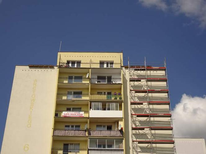 Kot predator polował na dachu wieżowca