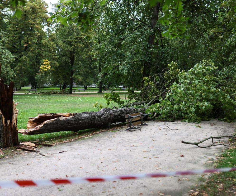 Park wilanowski zamknięty po burzy w Warszawie