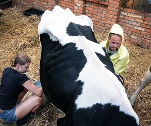 Farma 4: może już pakować walizki. Nikt nie ma wątpliwości, jak skończy się pojedynek